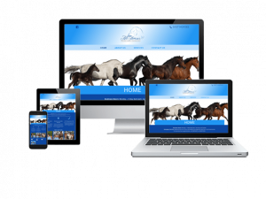 All Horses Veterinary Services