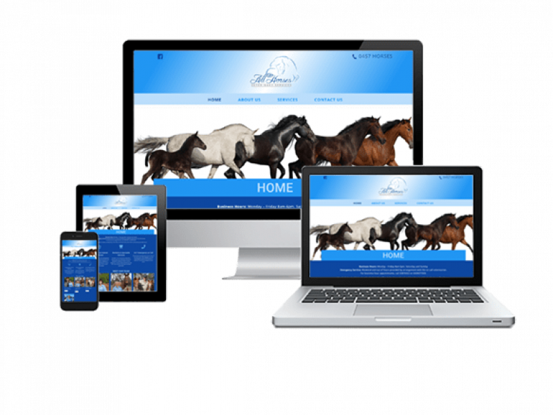 All Horses Veterinary Services