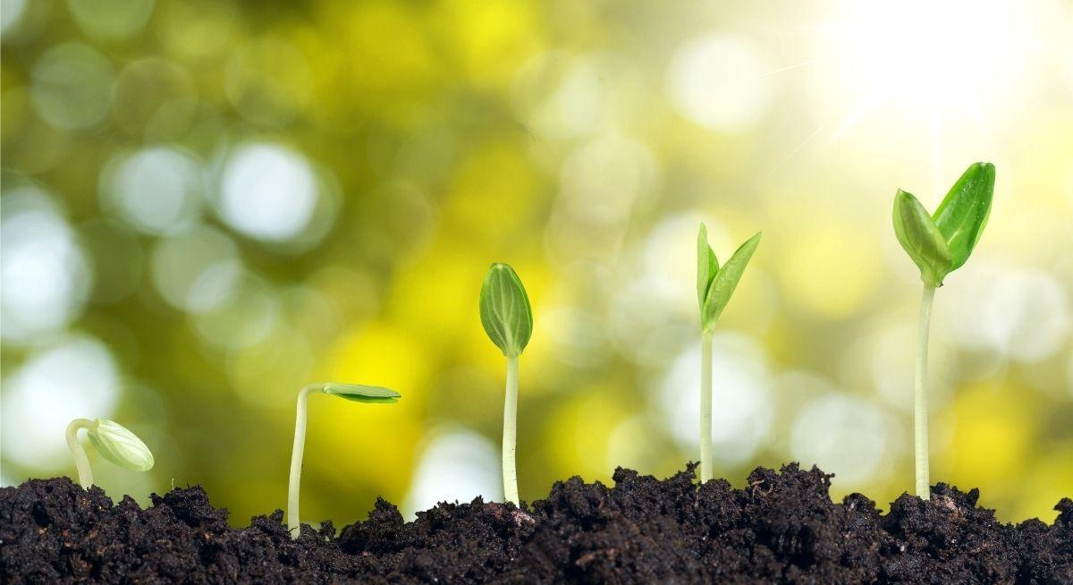 Good Habits To Keep Your Website Fresh