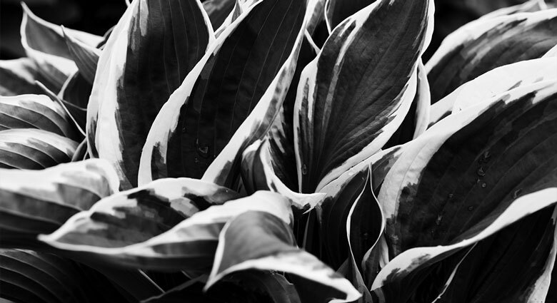 Using the Internet to Market your business