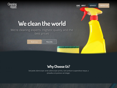 Cleaning