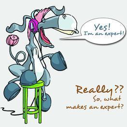 what makes an expert